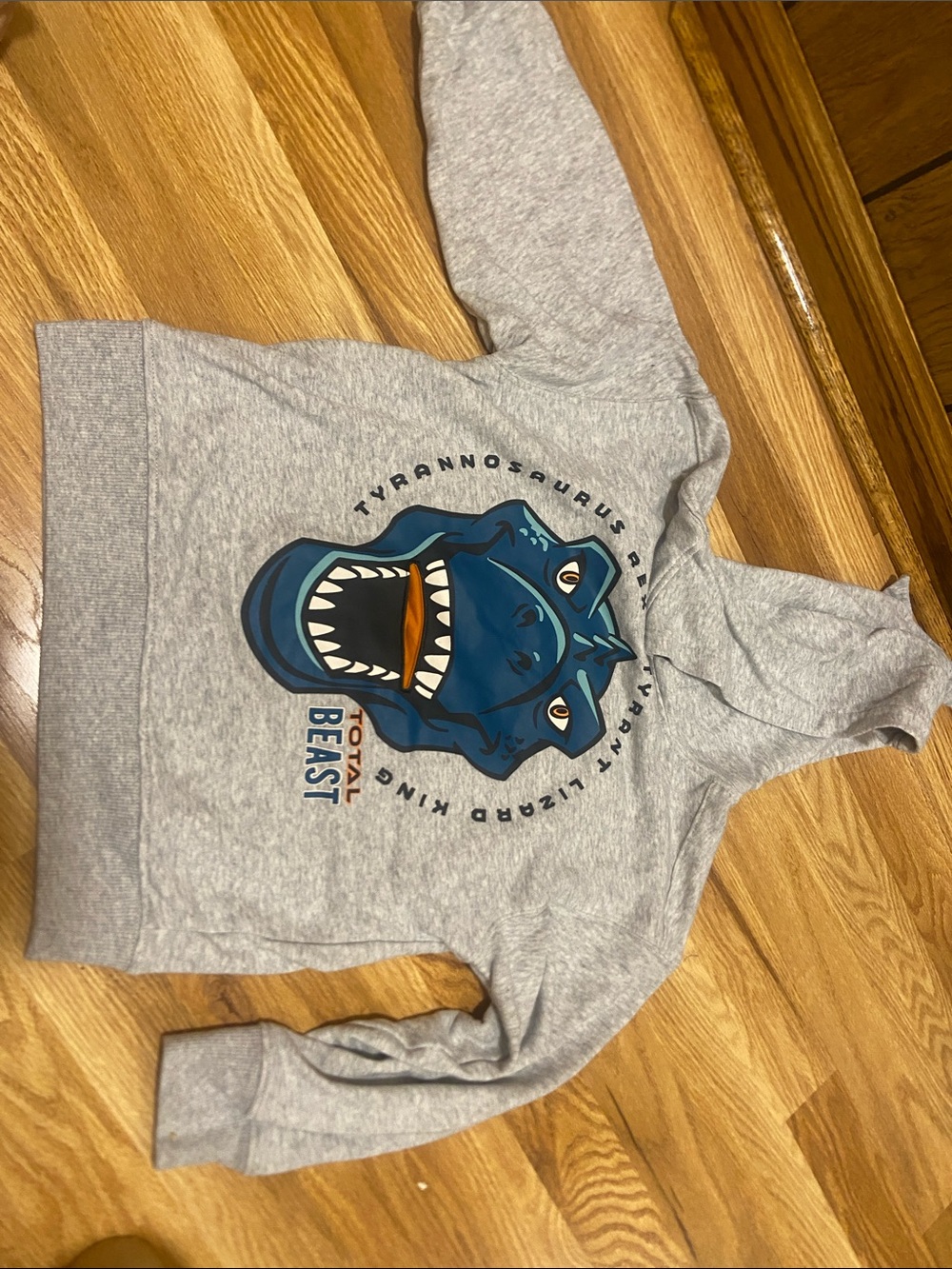 Garanimals Gray Hoodie with Blue Dinosaur Graphic